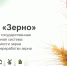 Пестравские сельхозтоваропроизводители могут пройти бесплатное обучение - Пестравский район
