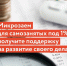 Микрозаймы для самозанятых - Газета Степь