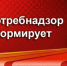 Управление Роспотребнадзора по Самарской области проводит «горячую» телефонную линию в рамках акции «Дни открытых дверей для предпринимателей» - Газета Степь